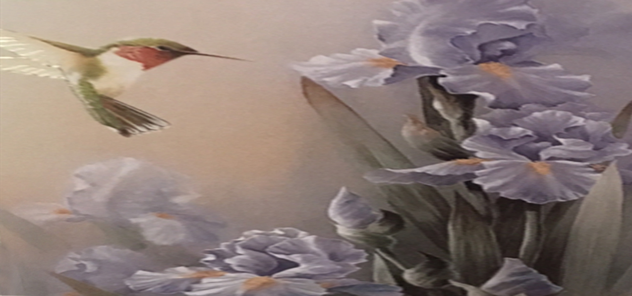 Hummingbird on Rosetan 2 PROOF